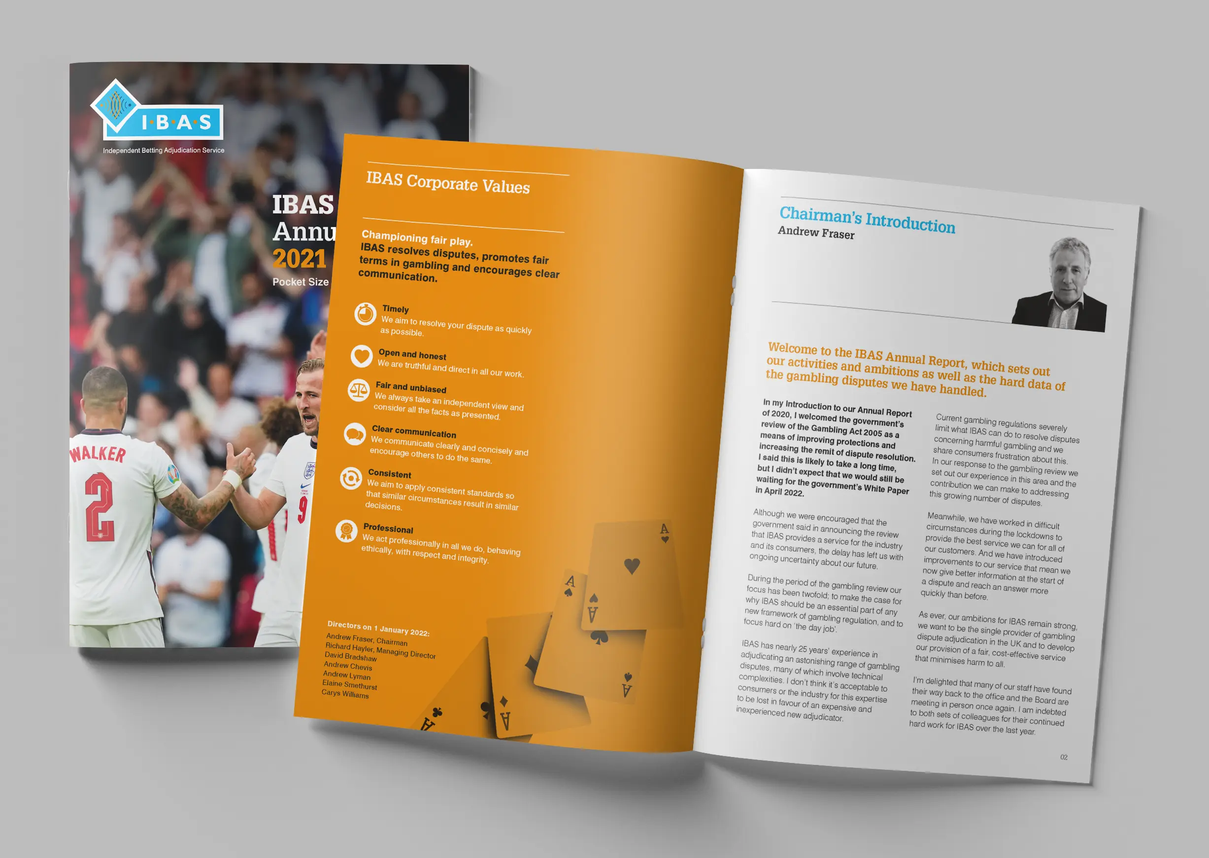 IBAS publishes 2021 Annual Report